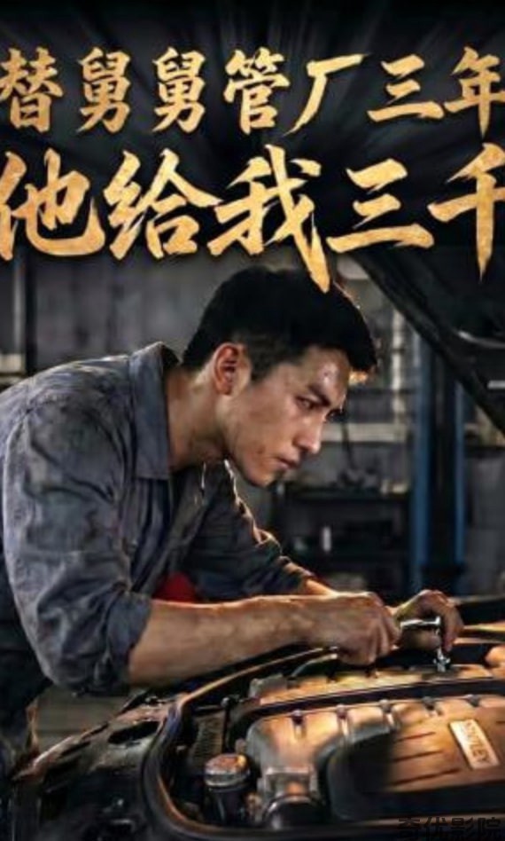 替舅舅管厂三年他给我三千